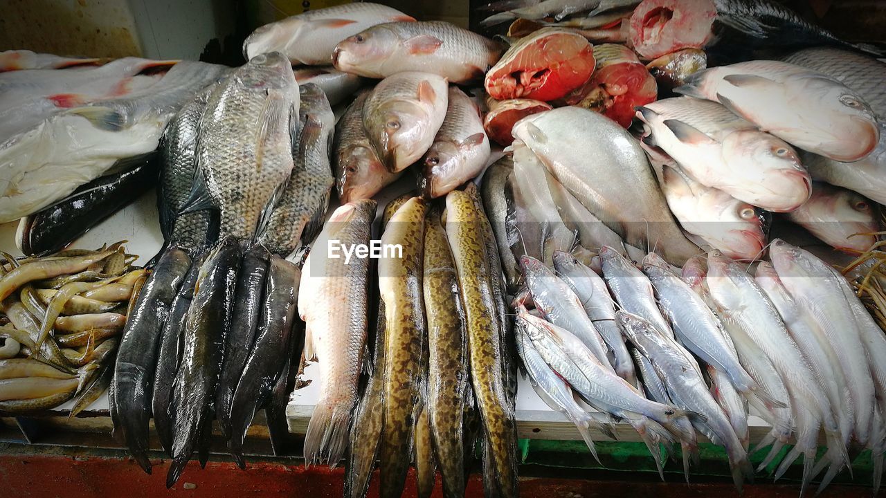 Fish for sale at market stall