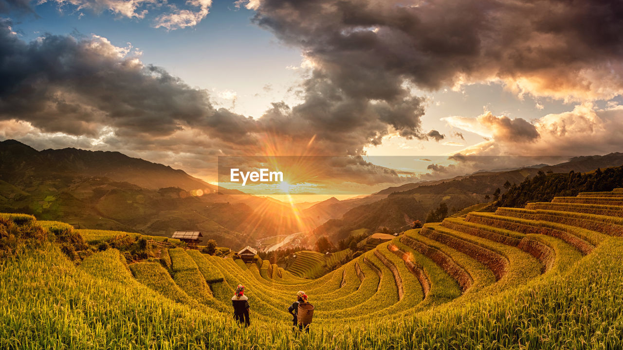 Scenic view of agricultural field against sky during sunset