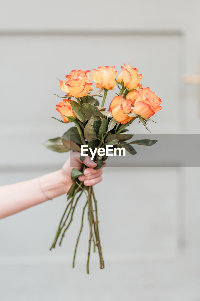 cropped hand of woman holding flower against wall