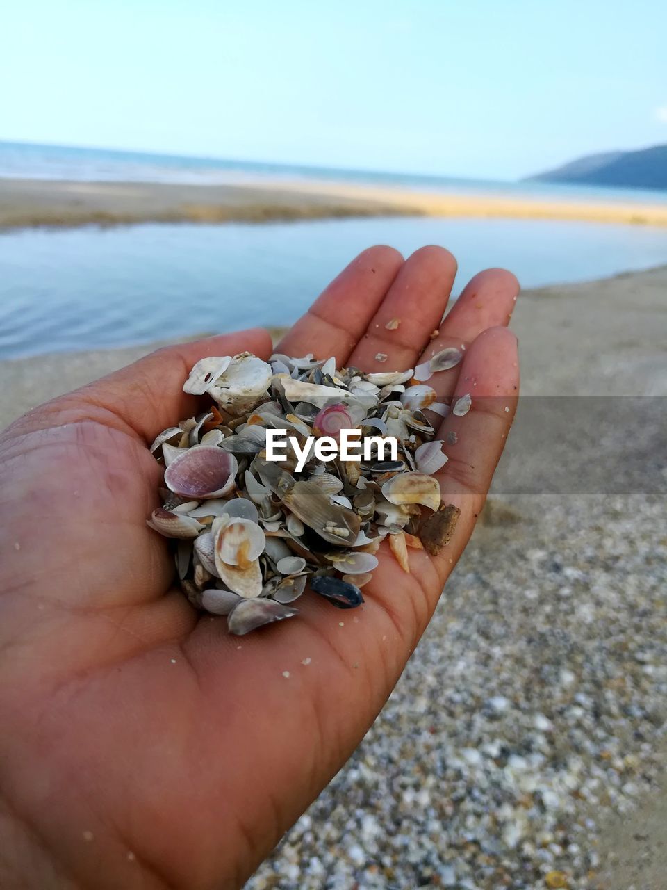 CROPPED IMAGE OF HAND HOLDING SHELL ON BEACH