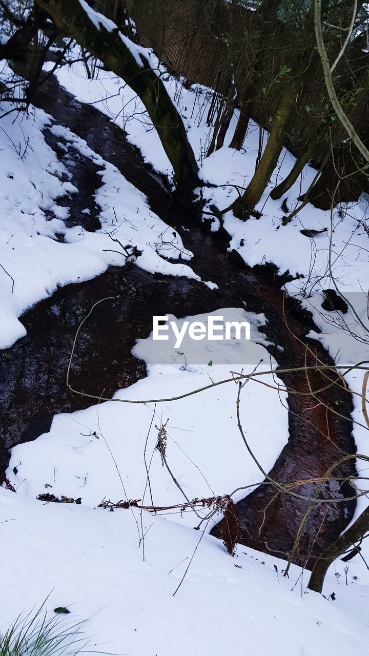 HIGH ANGLE VIEW OF TREES DURING WINTER