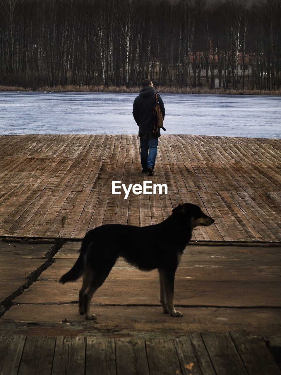 Man and dog on jetty in winter