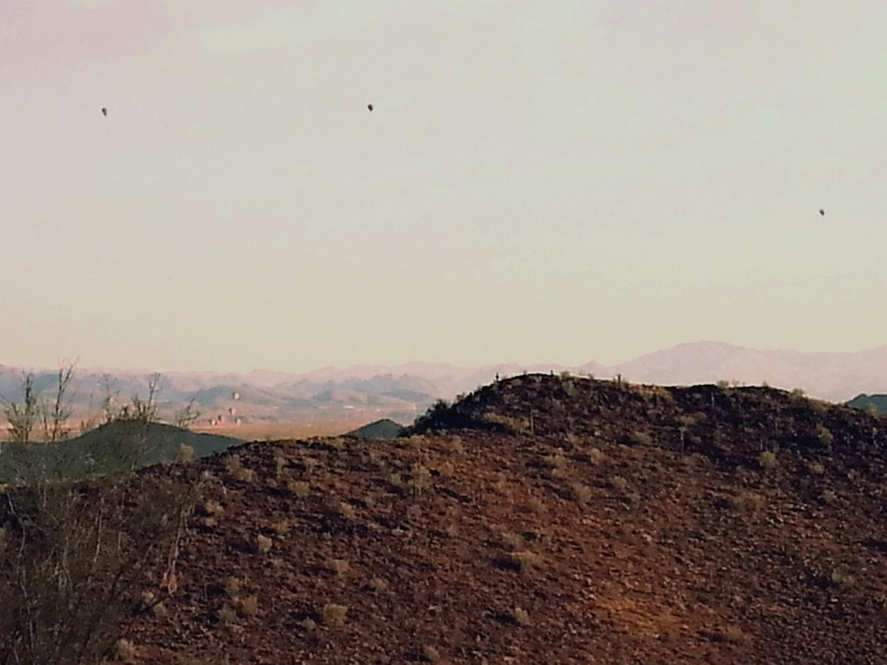 BIRDS FLYING OVER LANDSCAPE AGAINST SKY