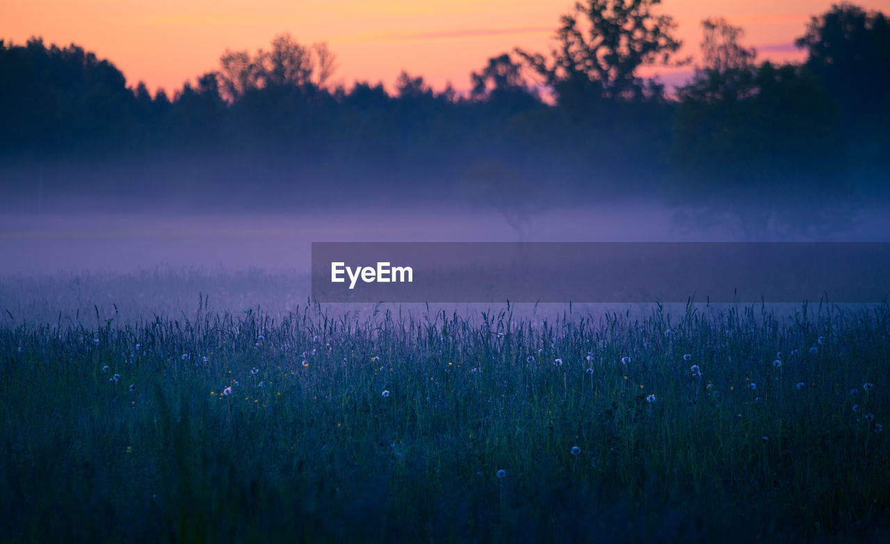 A beautiful spring morning in the northern europe rural area.