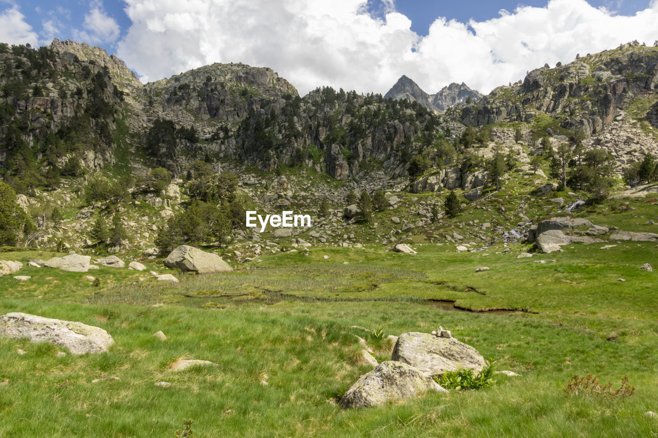 Scenic view of landscape against sky