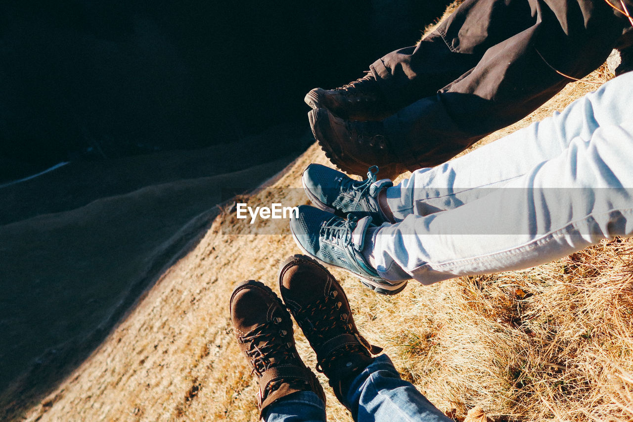 Low section of friends sitting on grassy land