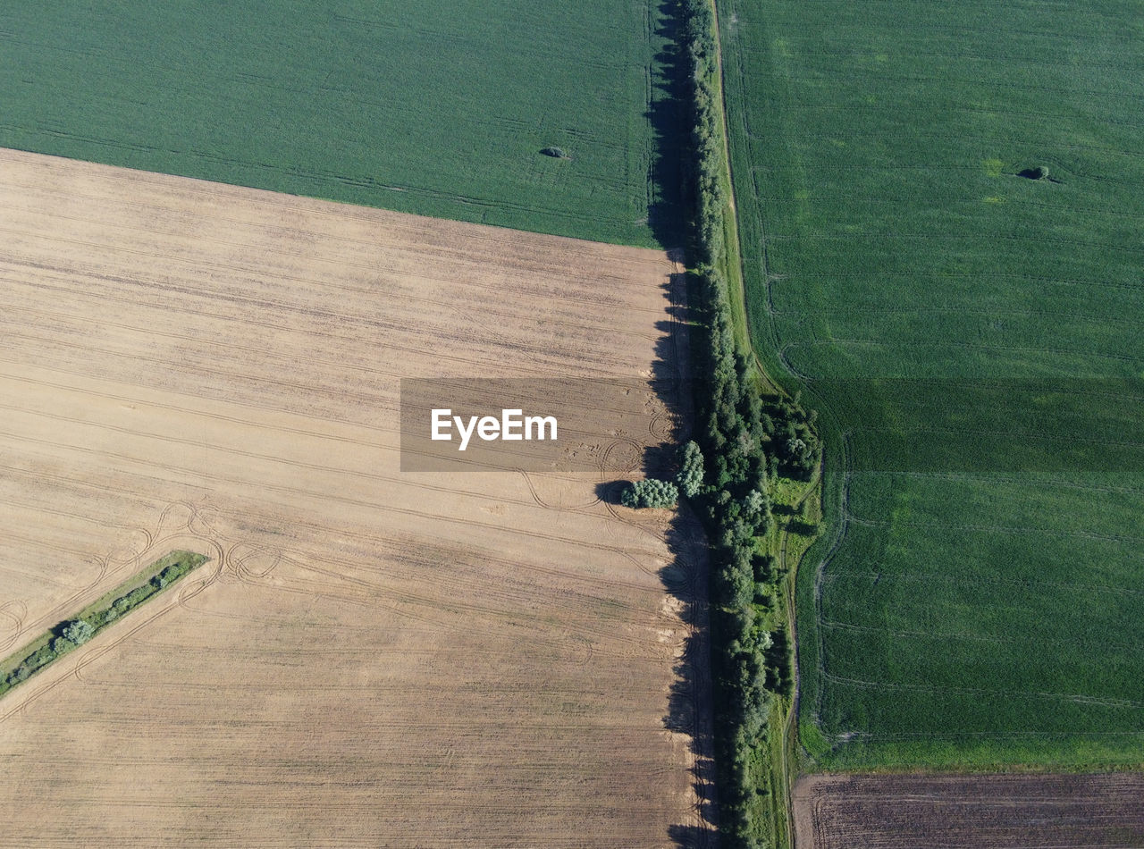 HIGH ANGLE VIEW OF FARM