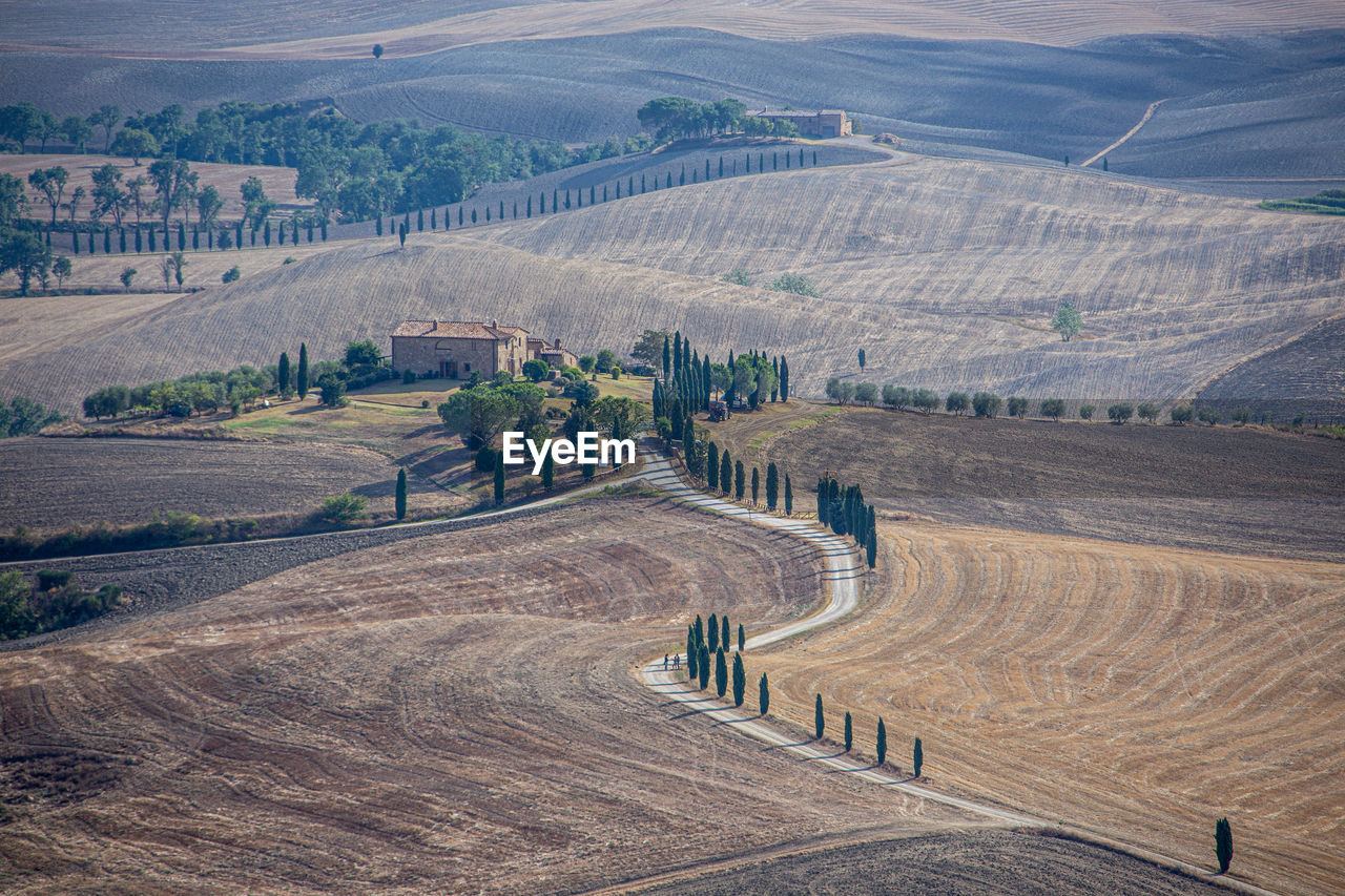 HIGH ANGLE VIEW OF AGRICULTURAL LANDSCAPE