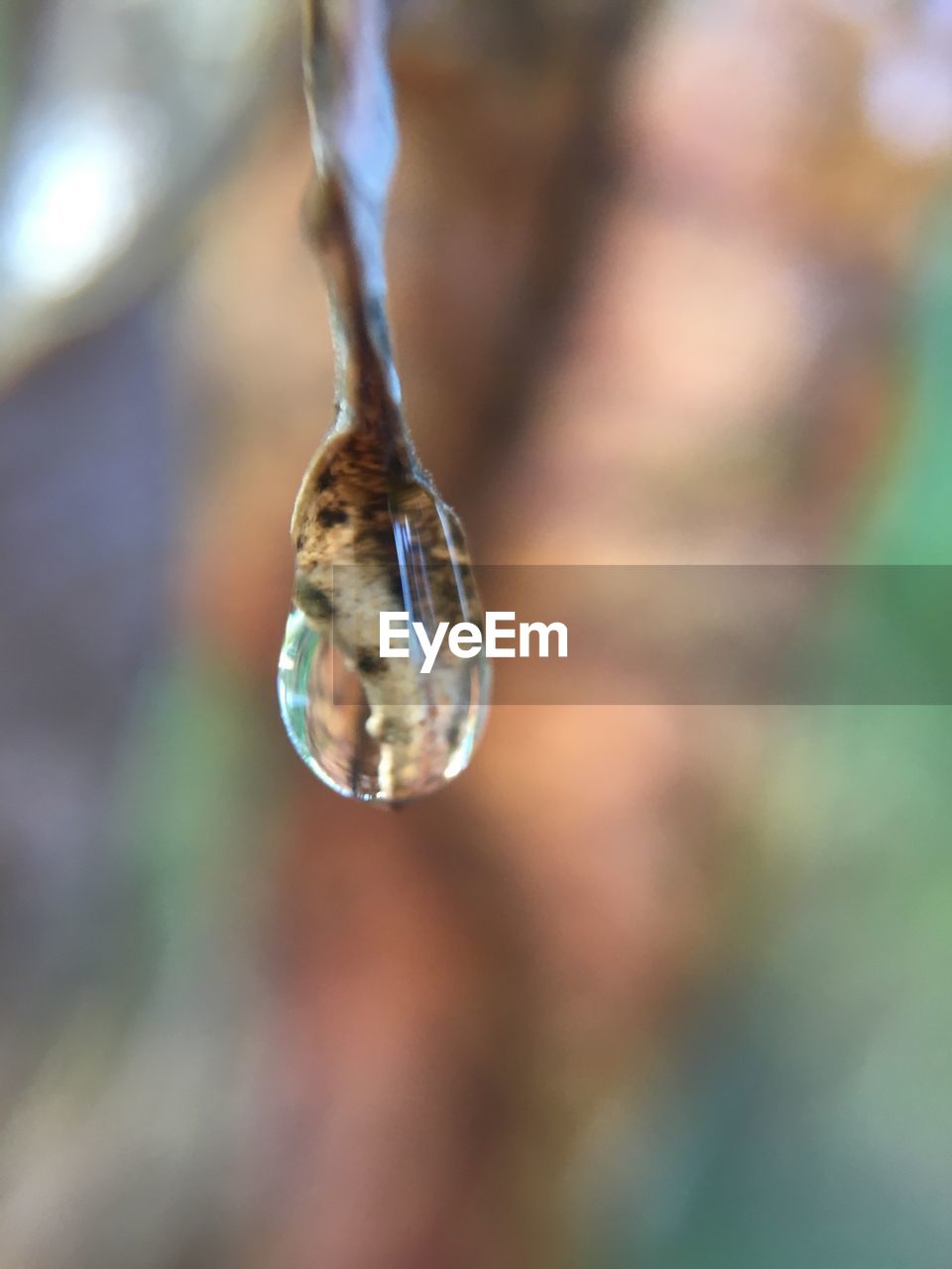 CLOSE-UP OF WATER DROP HANGING FROM OUTDOORS