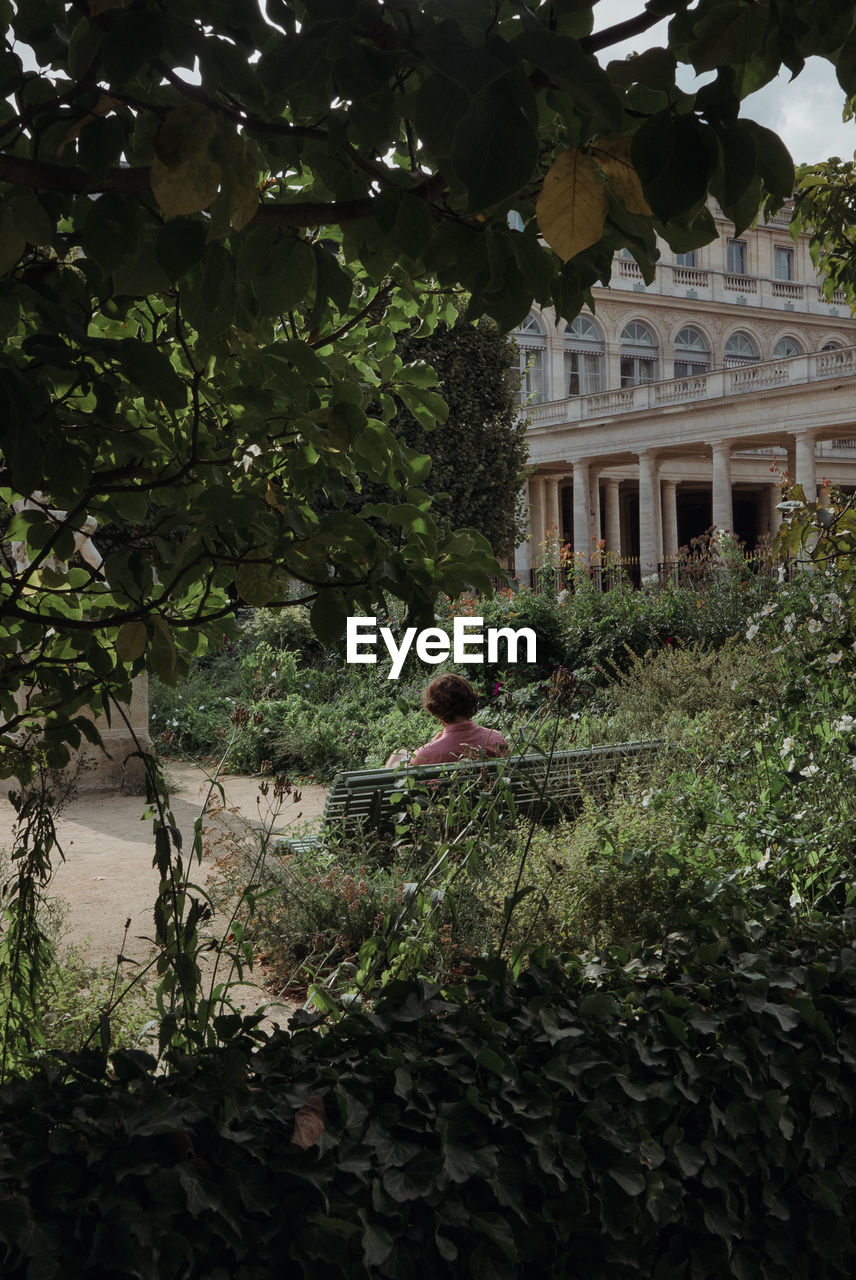 PEOPLE ON FLOWERING PLANTS AGAINST BUILDING