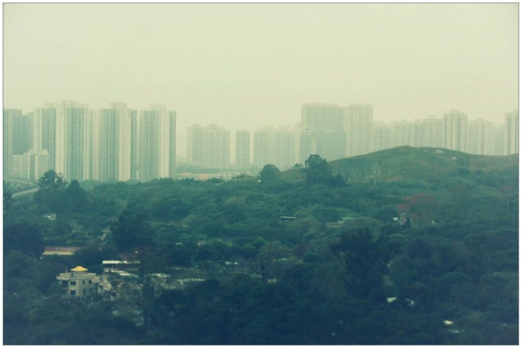 VIEW OF CITYSCAPE WITH TREES IN BACKGROUND