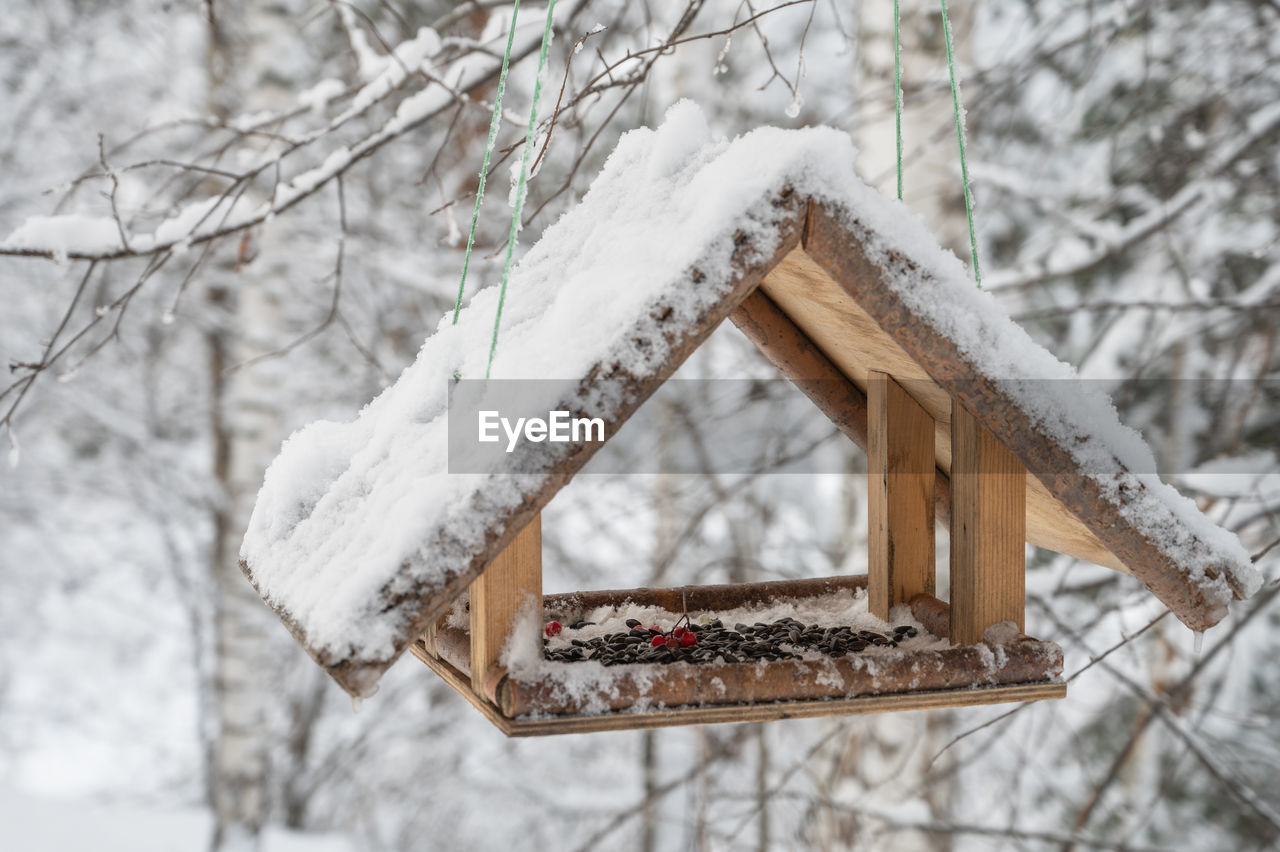snow, winter, cold temperature, tree, nature, focus on foreground, birdhouse, branch, wood, no people, day, frozen, plant, bird feeder, outdoors, bare tree, land, white, beauty in nature, tranquility, forest, architecture, close-up, freezing, environment