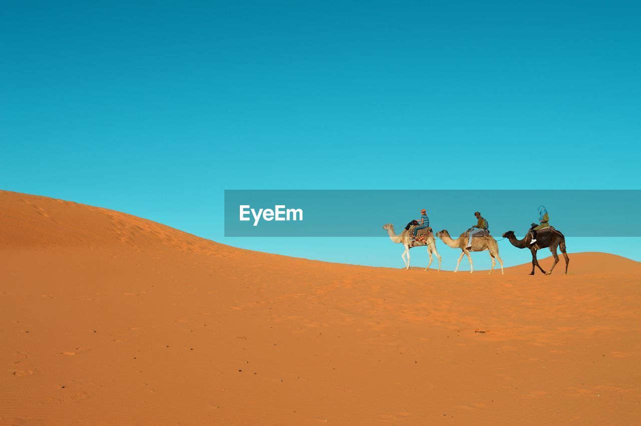 Scenic view of desert against clear blue sky in sahara desert