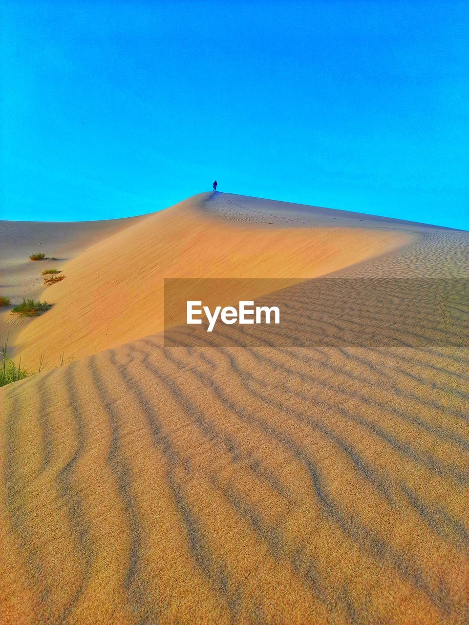 Amazing format of sand dunes on desert