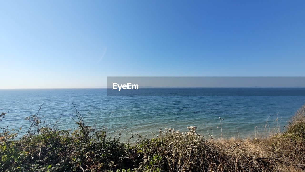 horizon, sea, water, sky, horizon over water, shore, scenics - nature, coast, beauty in nature, ocean, nature, tranquility, land, beach, plant, body of water, tranquil scene, clear sky, blue, no people, grass, day, copy space, outdoors, environment, bay, idyllic, morning, travel, landscape, hill, travel destinations, non-urban scene, sunlight, seascape, tourism, growth, sunny, urban skyline