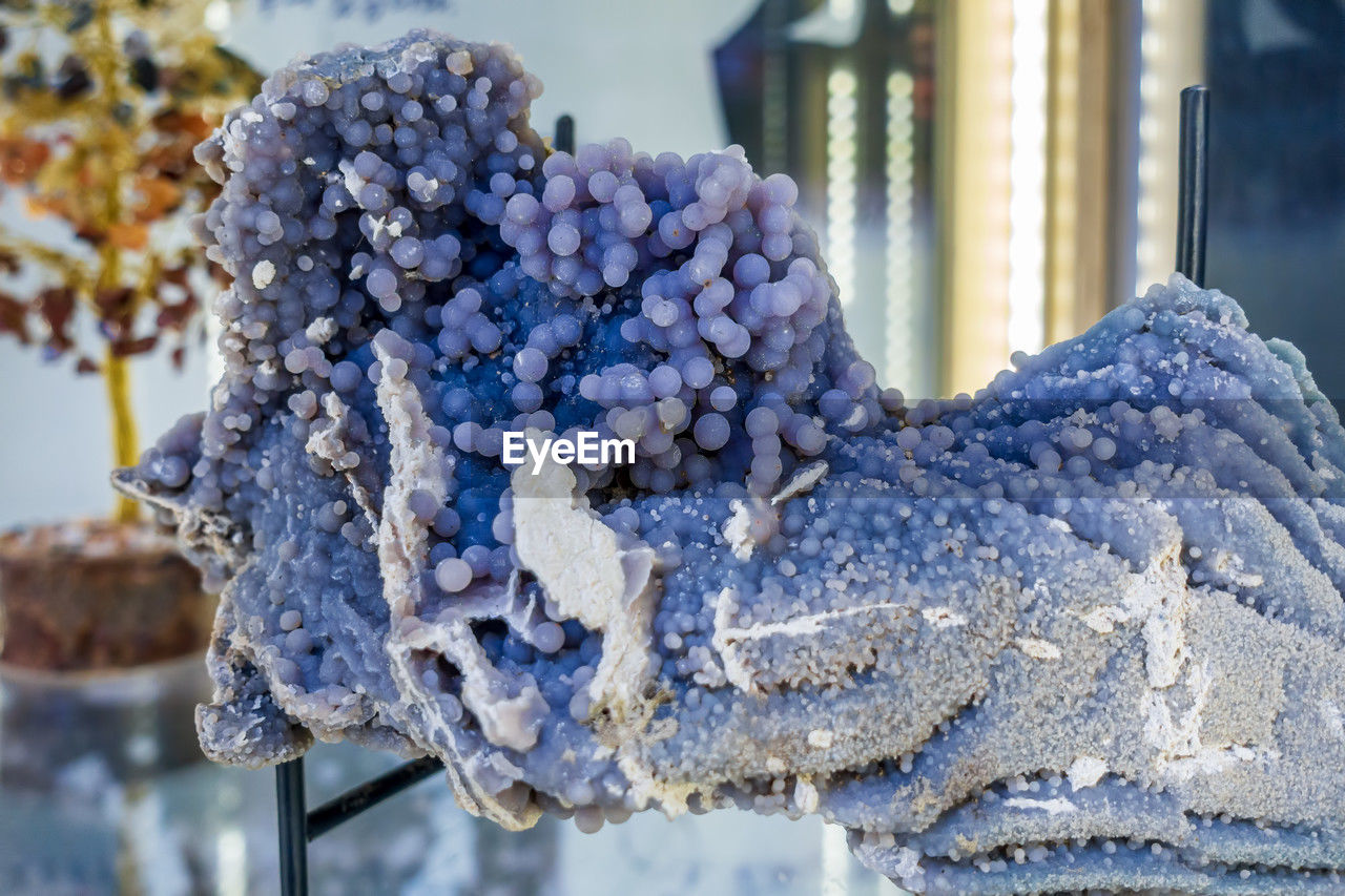 blue, winter, frost, flower, focus on foreground, nature, close-up, no people, cold temperature, snow, day, art, freezing, frozen, outdoors, spring, tree, food and drink, ice, food, architecture