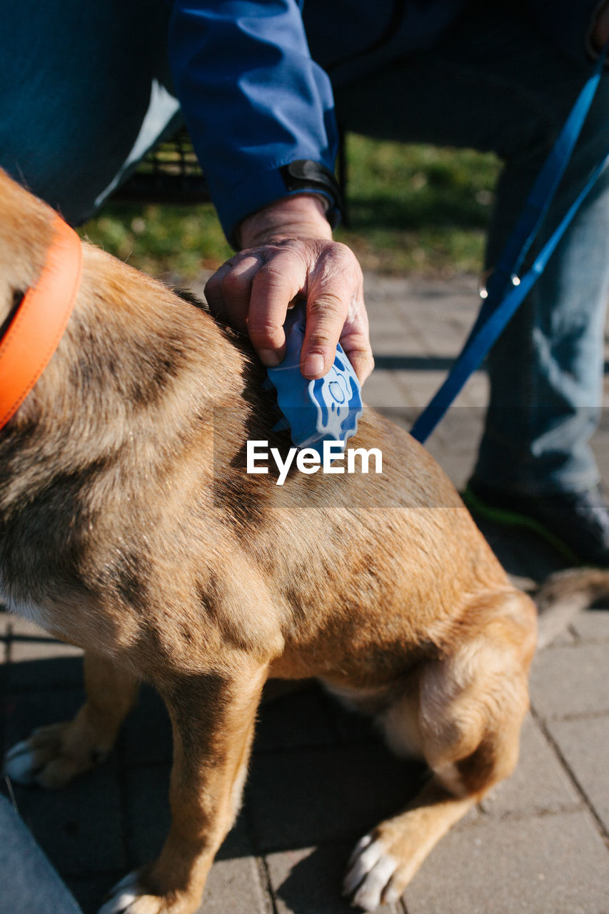 Midsection of man grooming dog