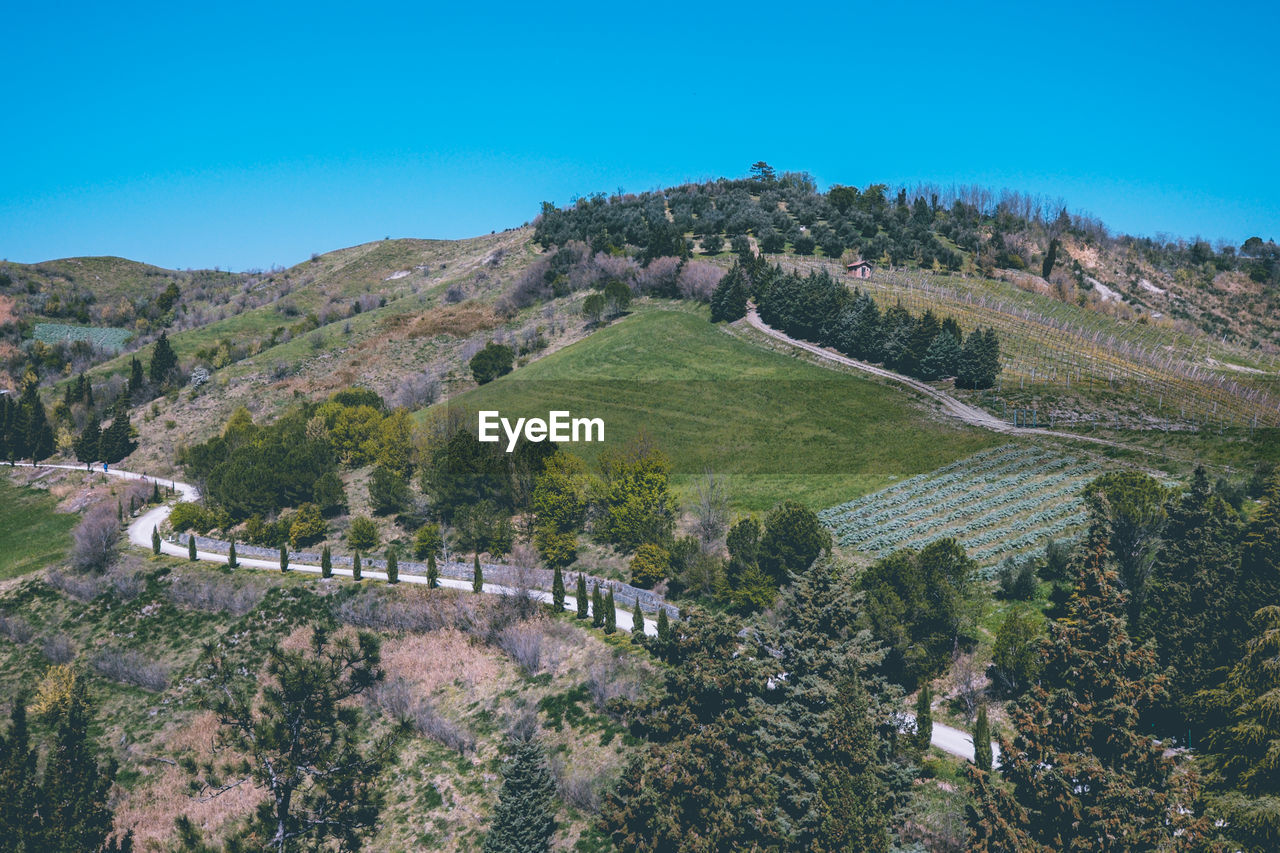 High angle view of trees on landscape against clear sky