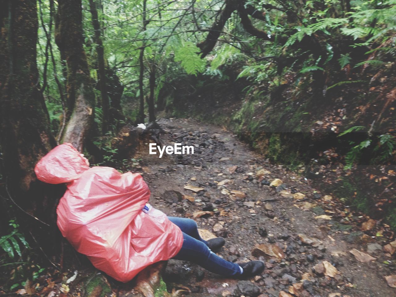 Hiker wearing raincoat resting on footpath in forest