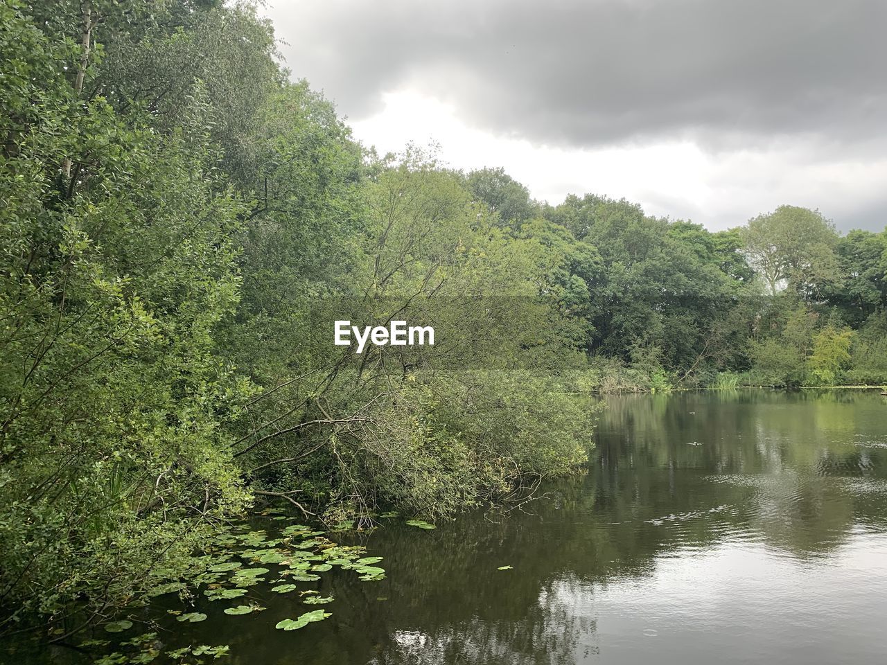 SCENIC VIEW OF LAKE BY TREES AGAINST SKY