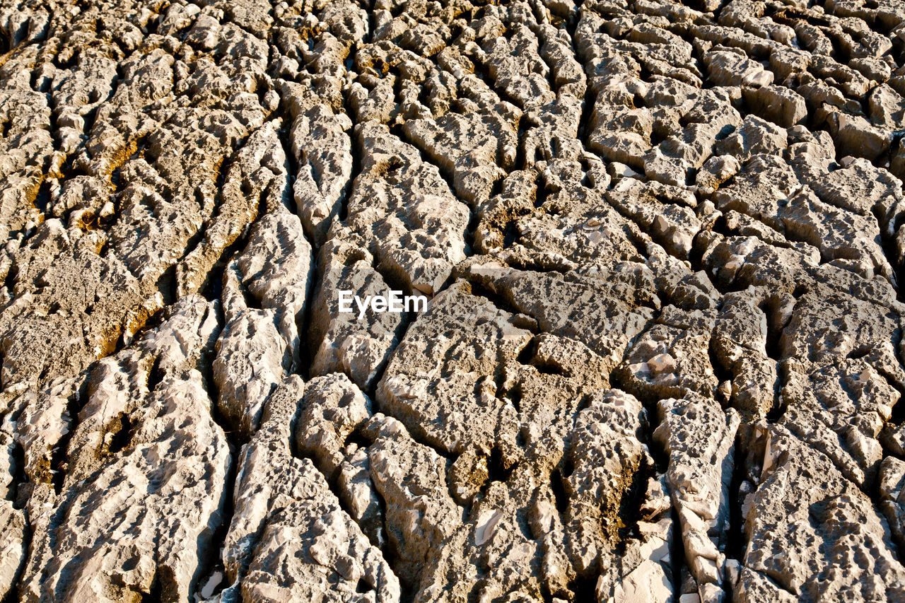 Detail of rock surface washed by the sea for ages. coast line of losinj island, croatia.