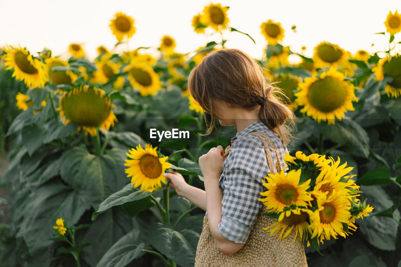 Beautiful young woman with sunflowers enjoying nature and laughing on summer sunflower field.