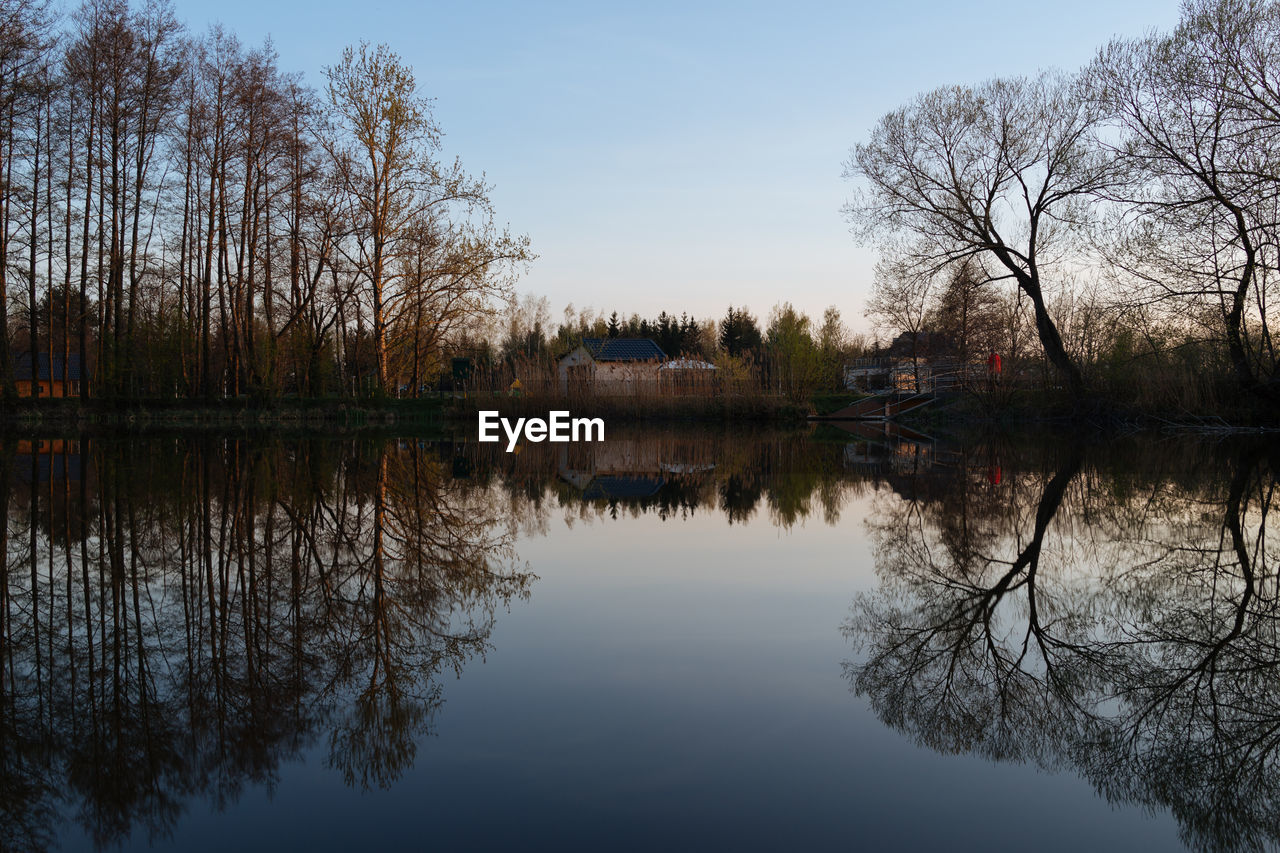 REFLECTION OF BARE TREES IN LAKE AGAINST SKY