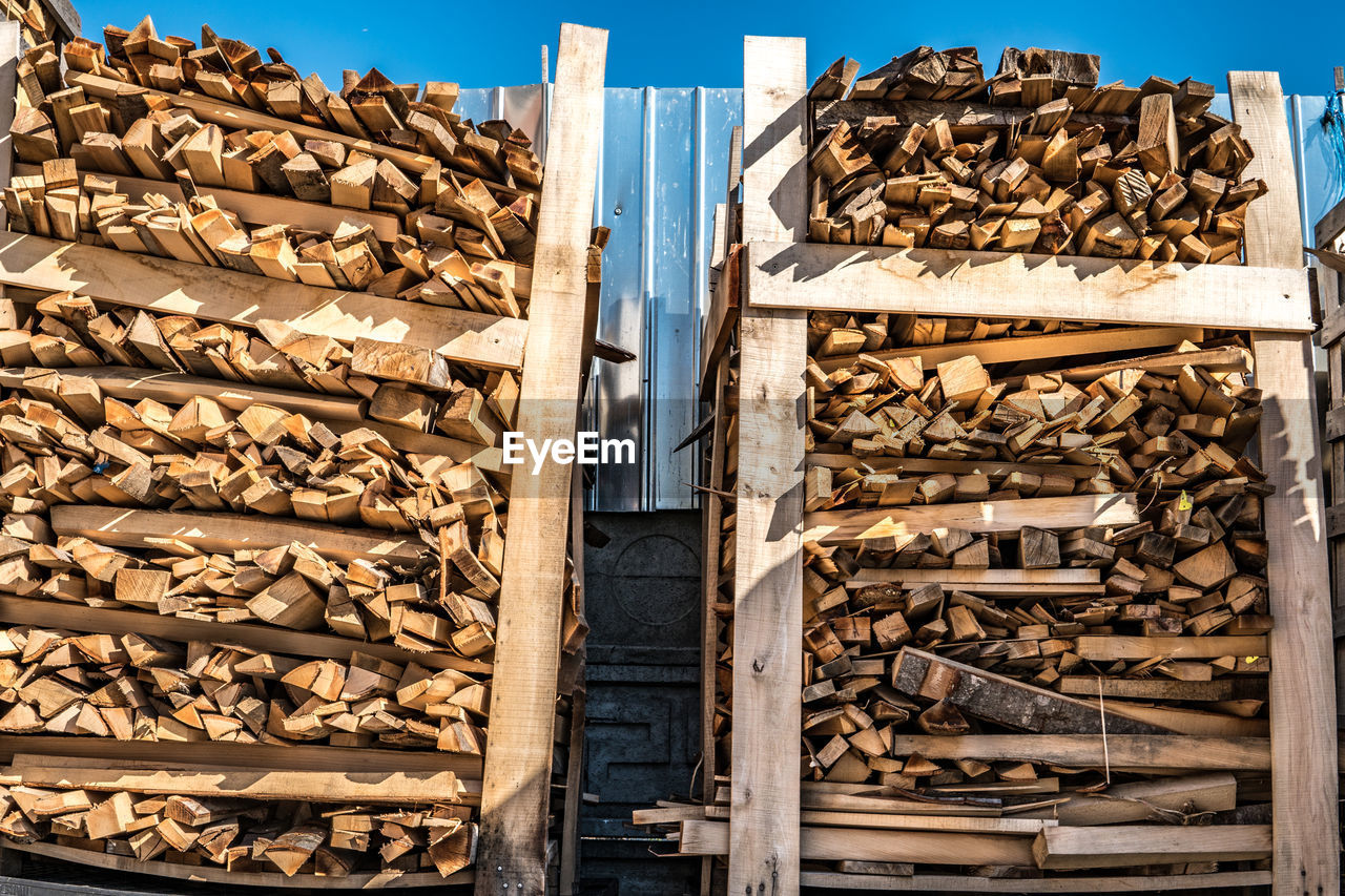 STACK OF LOGS IN A FOREST