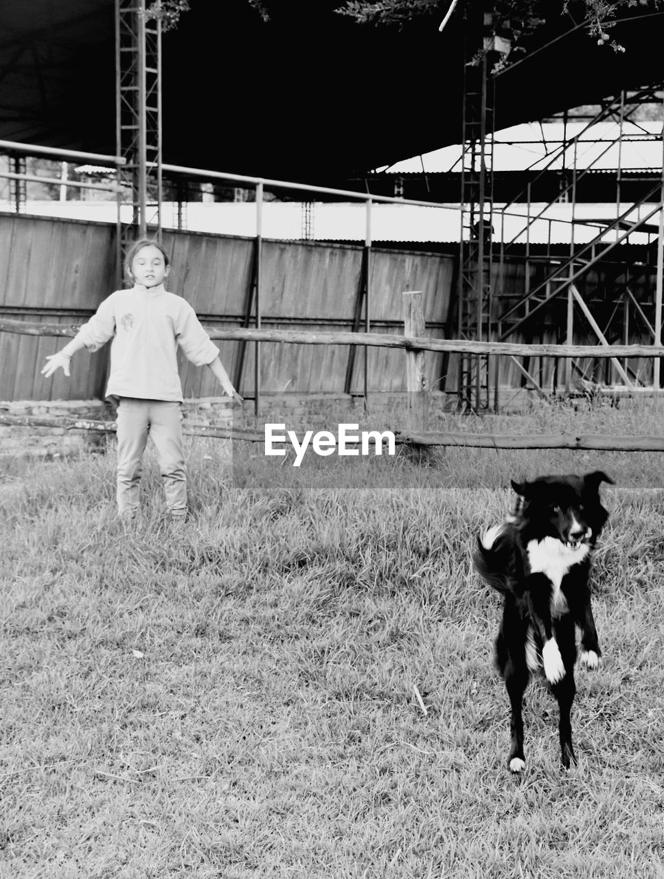 DOG STANDING ON FIELD DURING RAINY SEASON