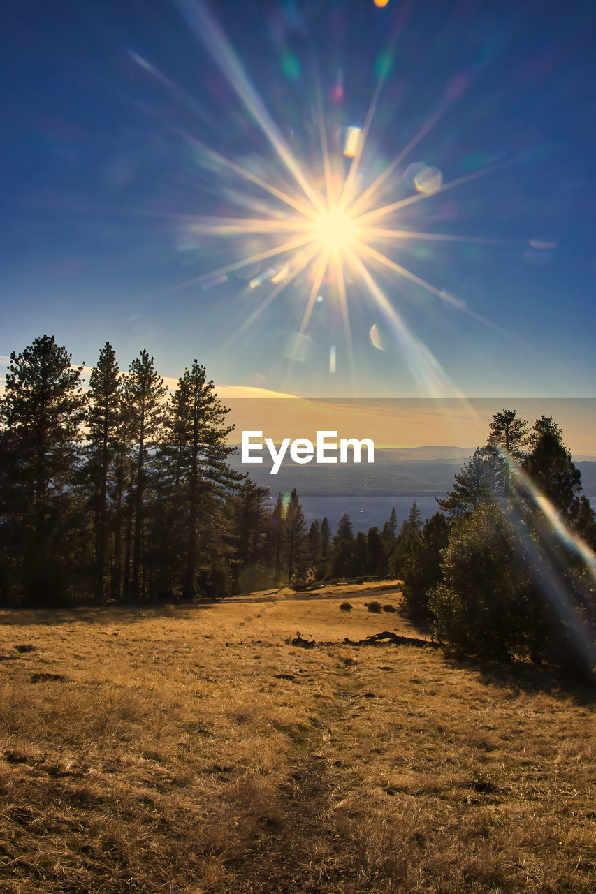 SCENIC VIEW OF FIELD AGAINST BRIGHT SUN AT SUNSET