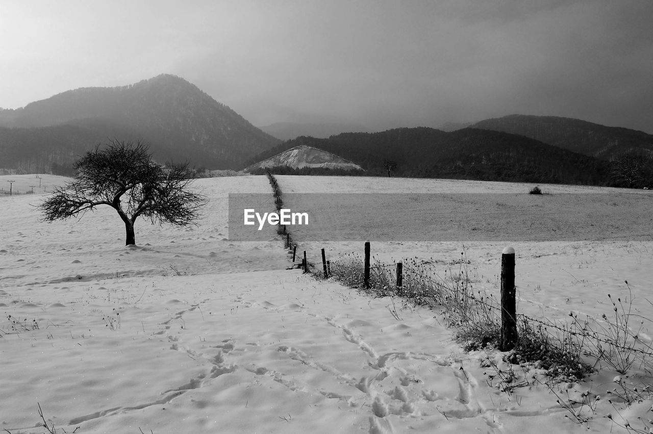 Scenic view of landscape against sky during winter