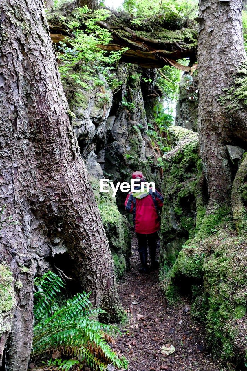 REAR VIEW OF MAN WALKING ON TREE TRUNK IN FOREST