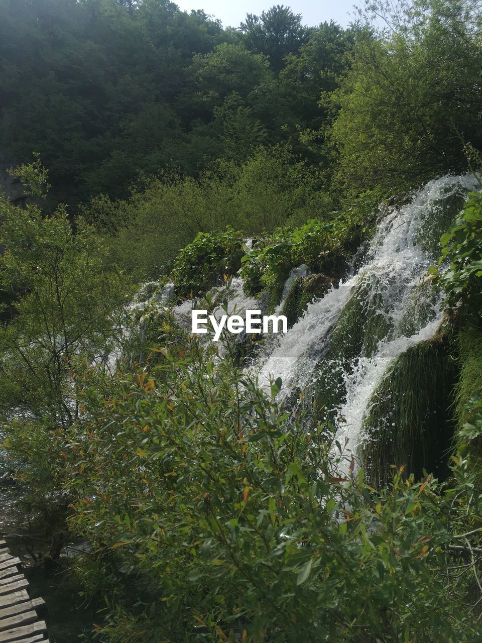 SCENIC VIEW OF WATERFALL AT FOREST