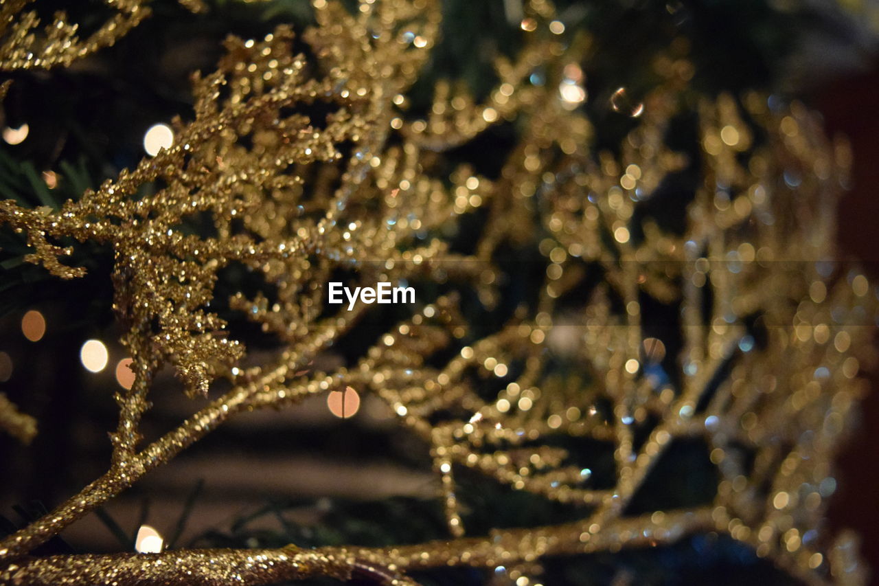 CLOSE-UP OF ILLUMINATED CHRISTMAS TREE AT NIGHT