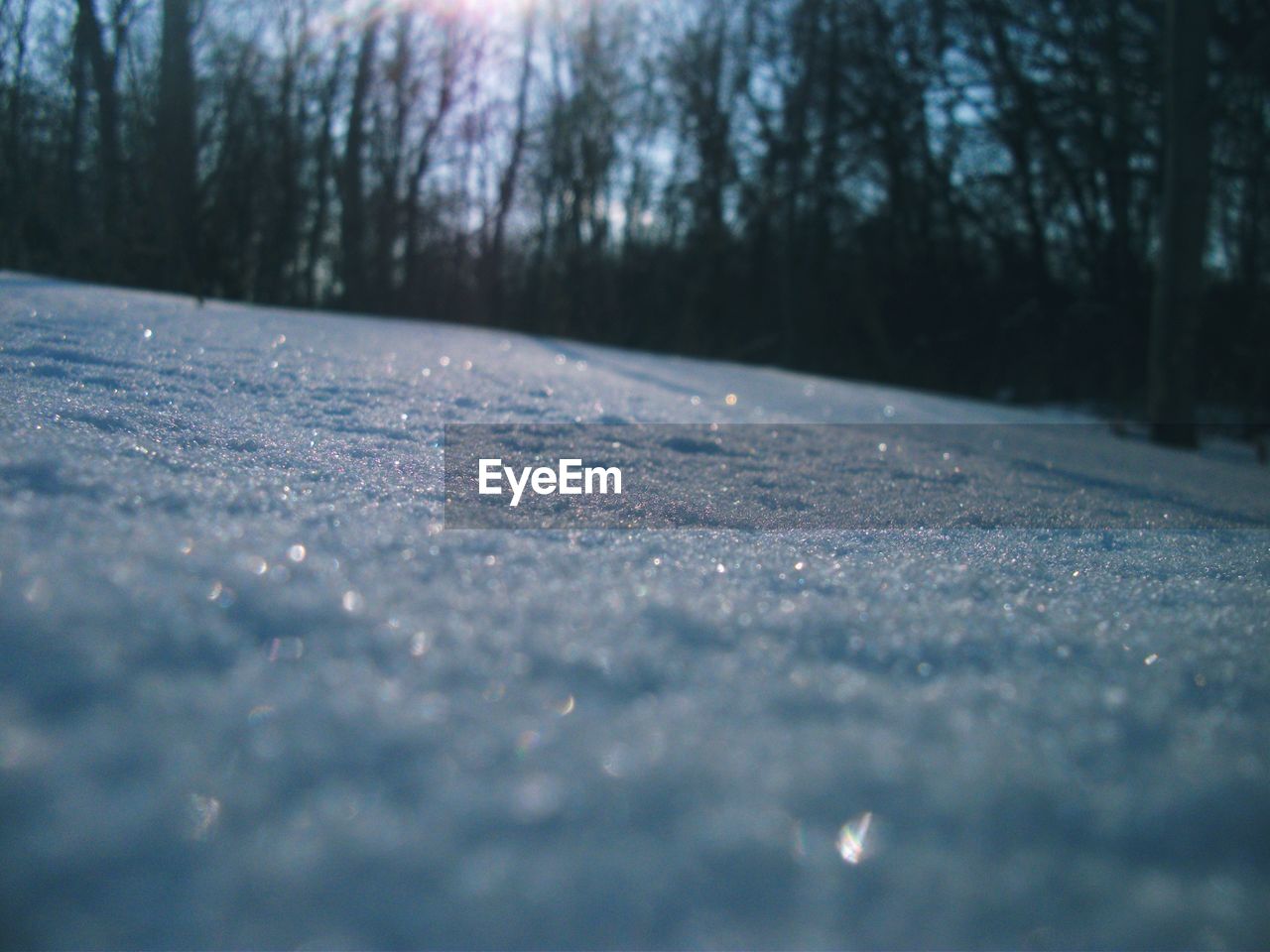 CLOSE-UP OF SNOW COVERED LANDSCAPE