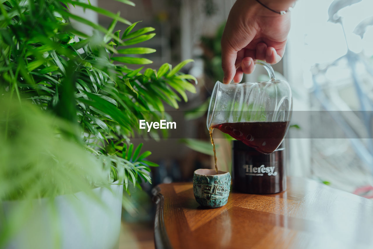 green, food and drink, hand, one person, plant, adult, holding, indoors, drink, food, refreshment, herb, selective focus, lifestyles, nature, growth, freshness, flower, pouring, glass, domestic life, leaf, alcoholic beverage, day, wellbeing, healthy eating, bottle, men, alcohol, vegetable