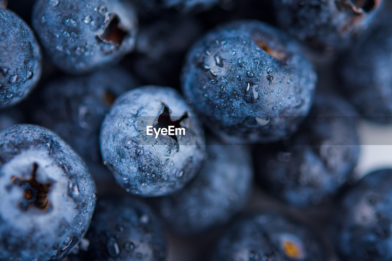 Full frame shot of blueberries