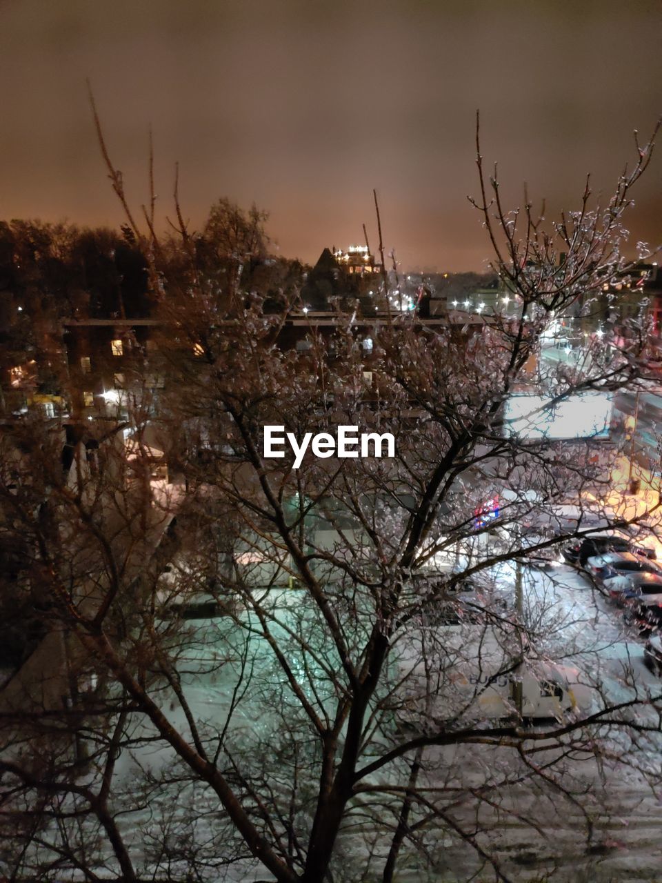 BARE TREES BY ILLUMINATED BUILDINGS AGAINST SKY AT NIGHT