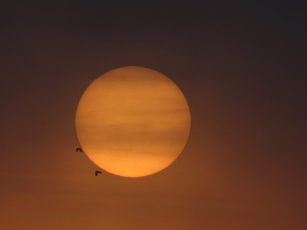 LOW ANGLE VIEW OF ORANGE SKY