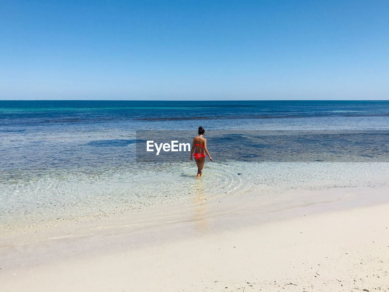 Rear view of woman in sea against clear sky