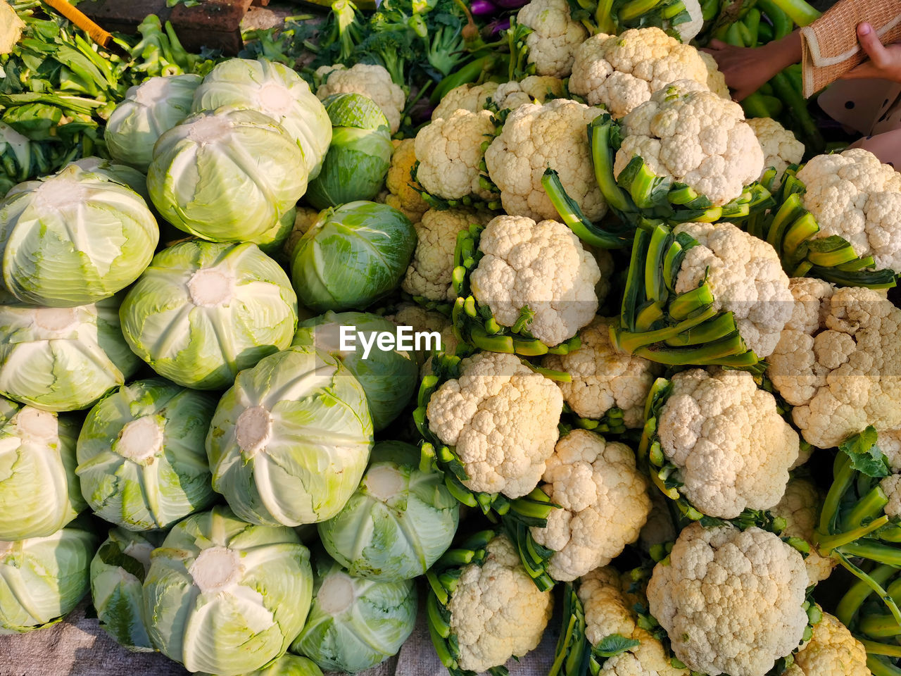 FULL FRAME SHOT OF FRESH GREEN VEGETABLES