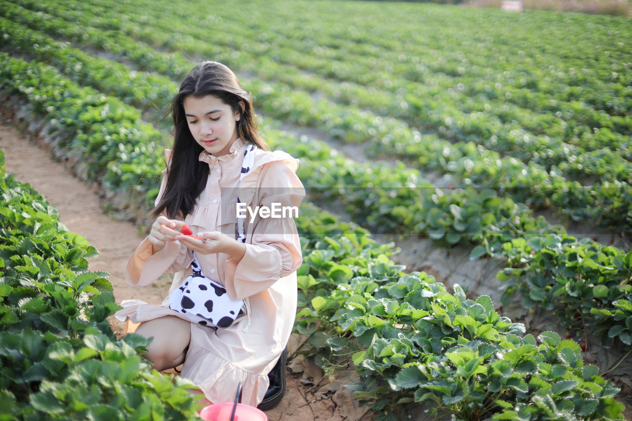 Young woman holding ice cream in farm