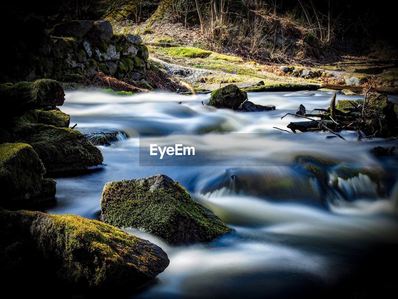 Scenic view of stream flowing through rocks in forest