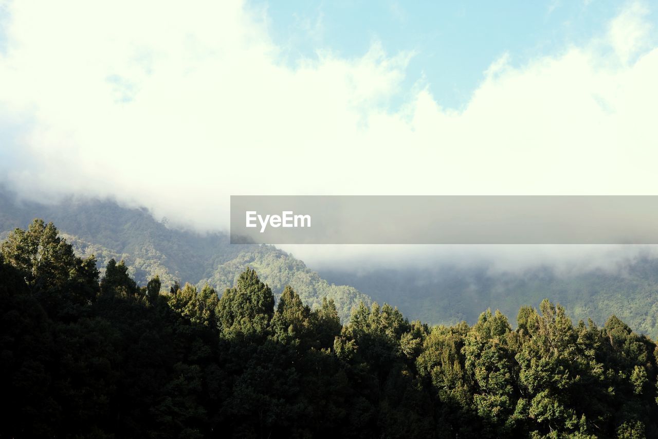 Scenic view of trees and mountains against sky