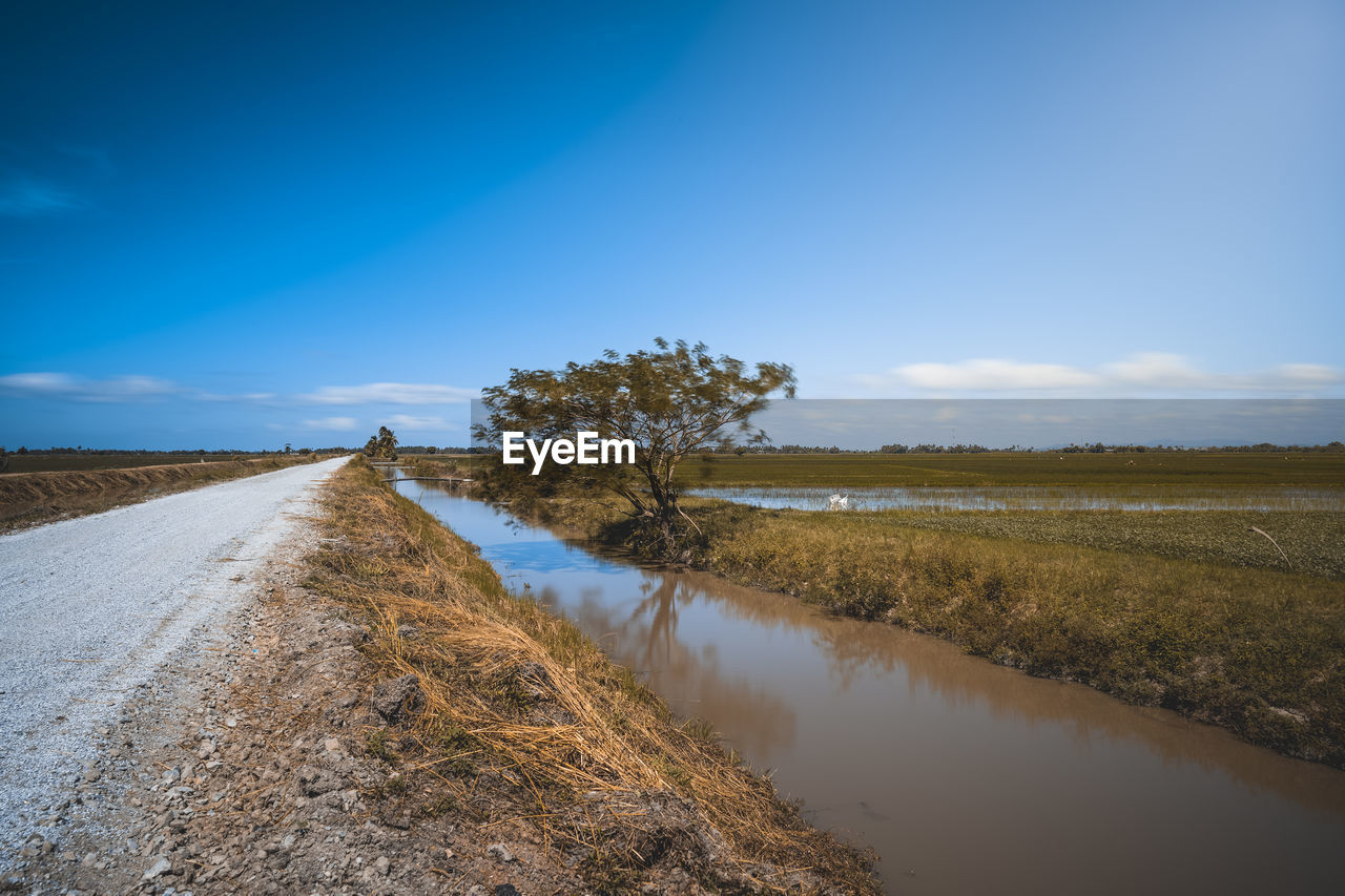 Scenic view of landscape against blue sky