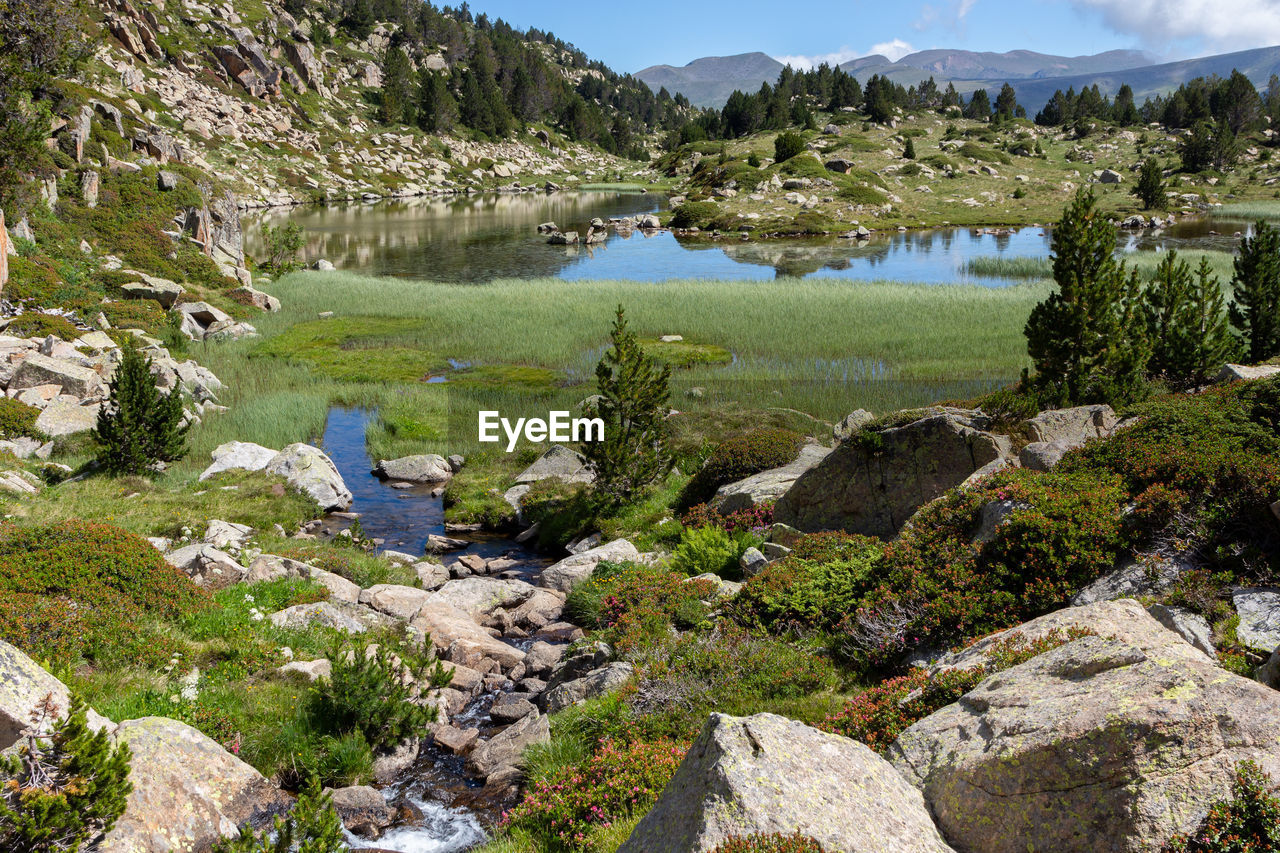 Pond with water between mountains with green grasses