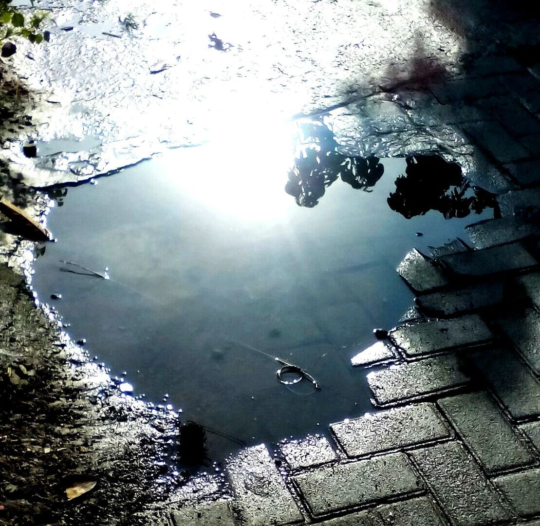 REFLECTION OF TREES IN WATER