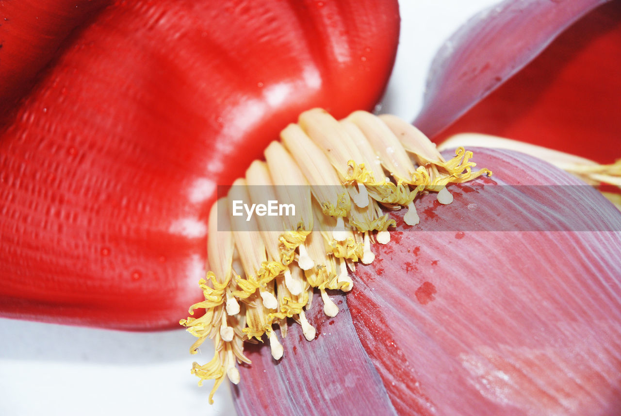 HIGH ANGLE VIEW OF RED CHILI PEPPERS ON TABLE