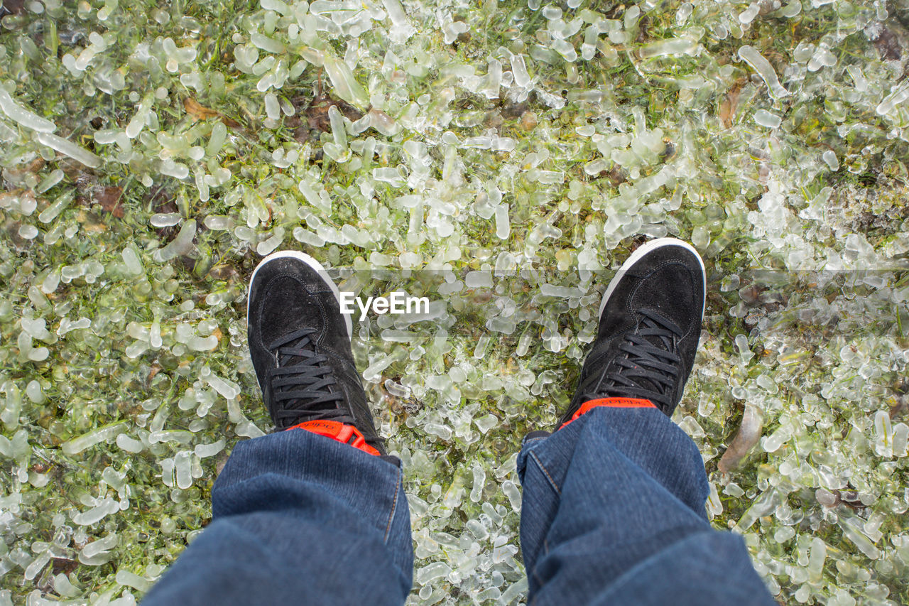 Low section of man standing on frozen grass during winter