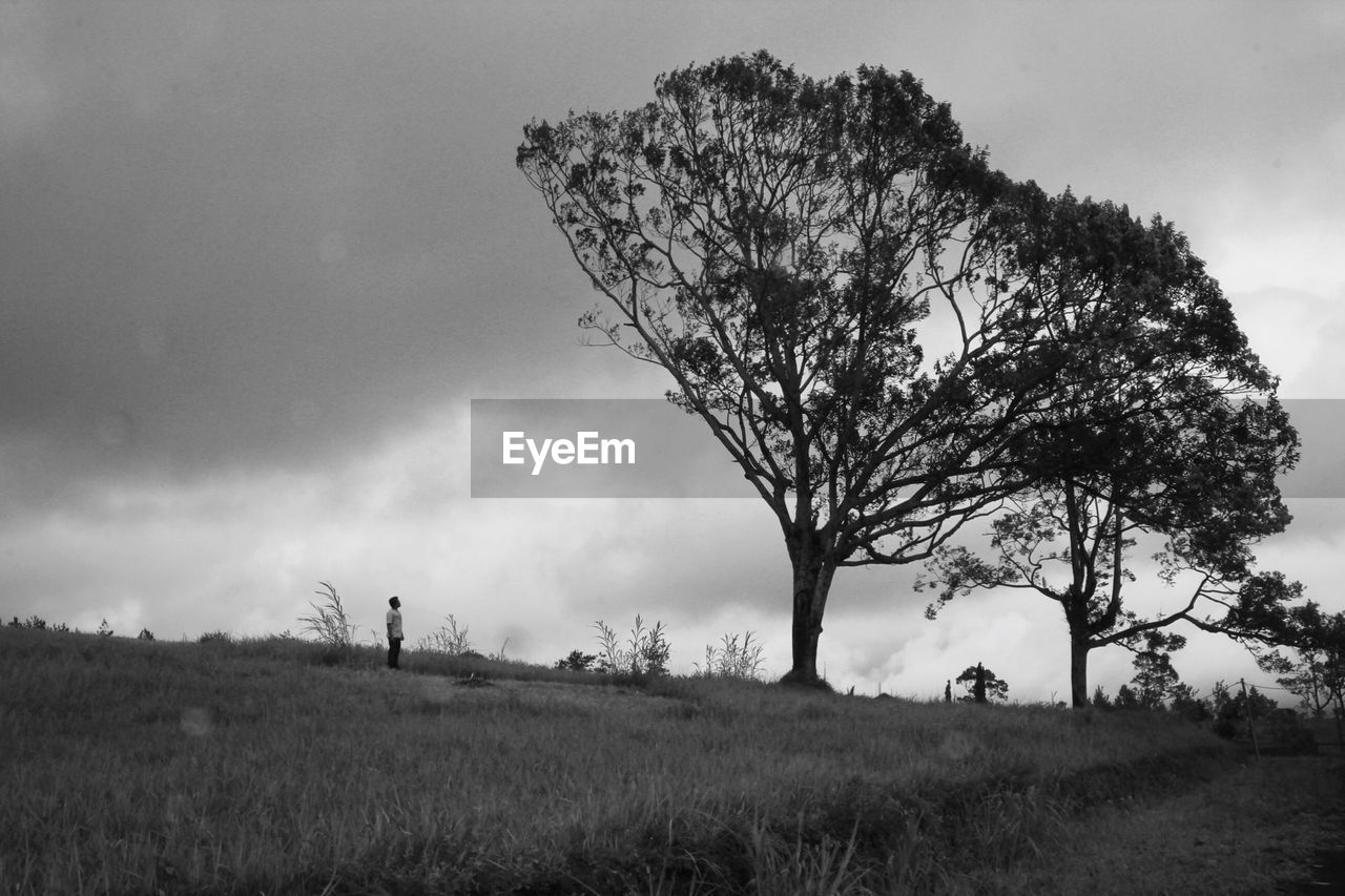 Man standing by trees on field against sky